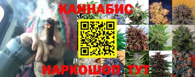 мяу мяу мука Нальчик